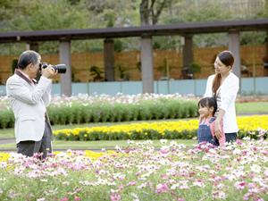 温かみのあるアットホームな結婚相談所